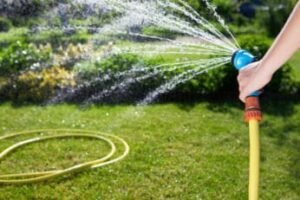 a-person-watering-the-lawn
