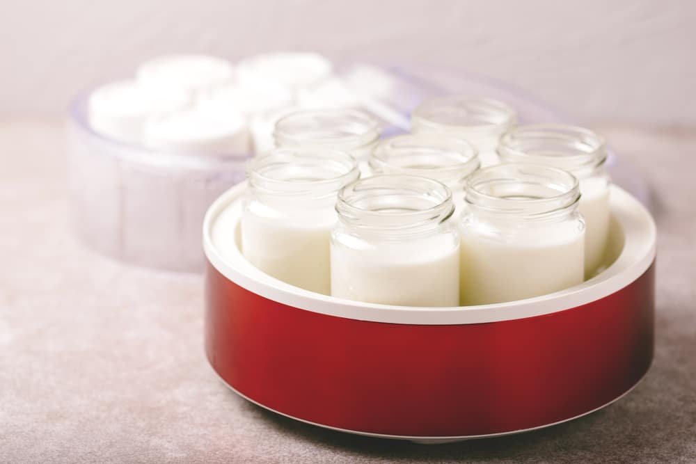 how to use a yoghurt maker