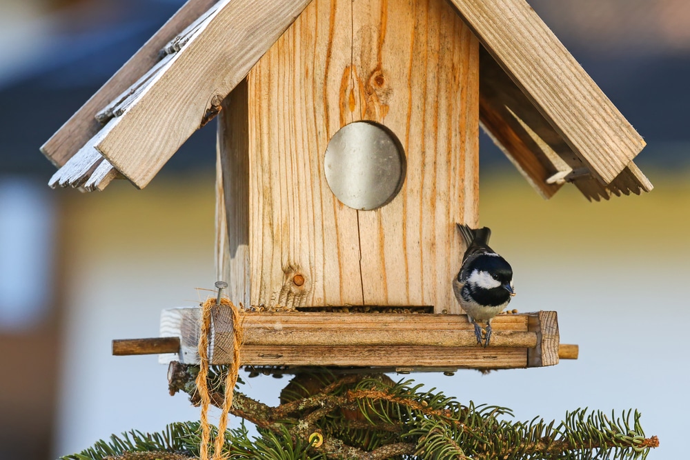 How to Make a Bird Table