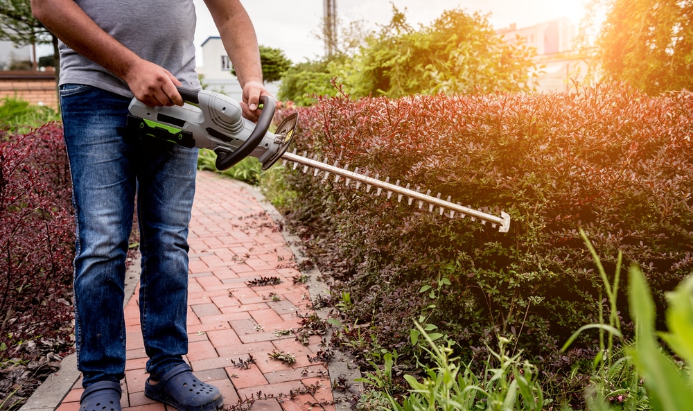 How to Use a Hedge Trimmer