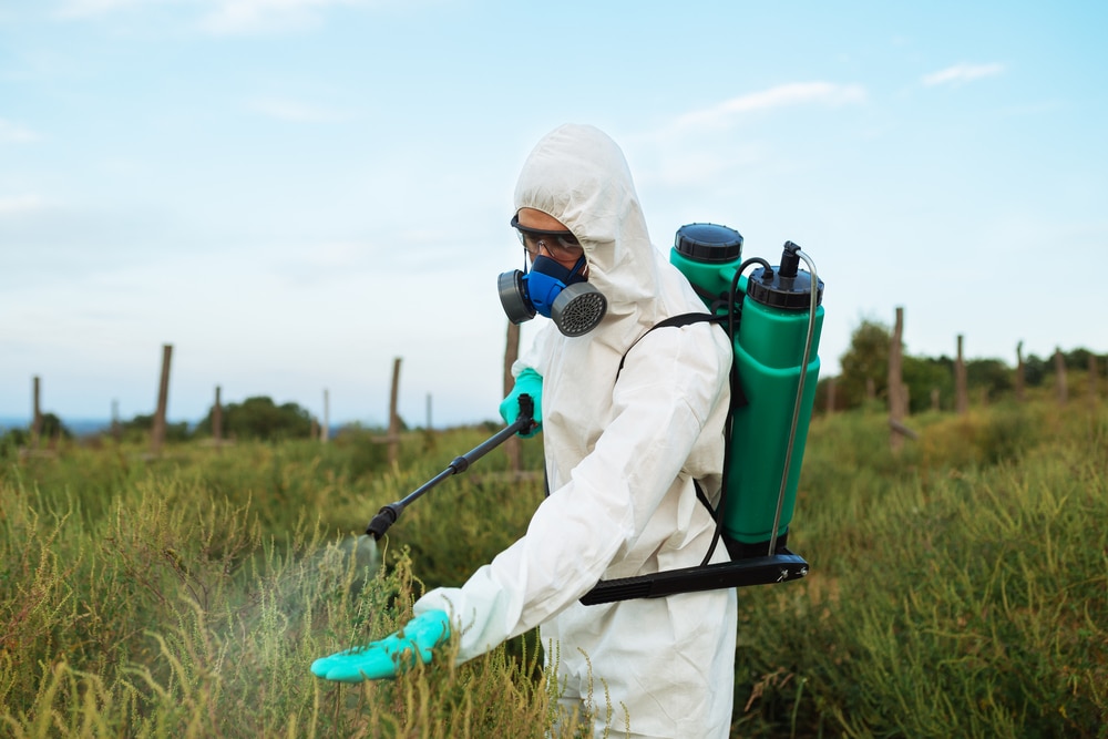 When to Use Weed Killer