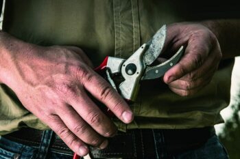 man with pruning shears