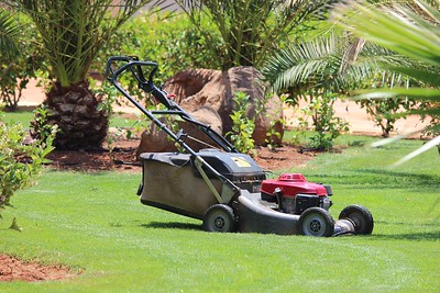 an-effective-machine-for-cutting-grass-on-a-beautiful-and-healthy-garden