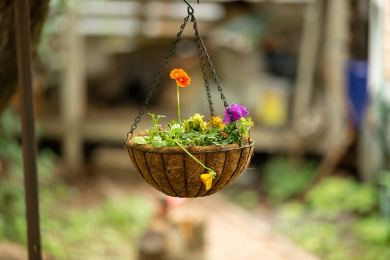 How to Make Hanging Planters - DIY Ideas You Should Try | House Junkie