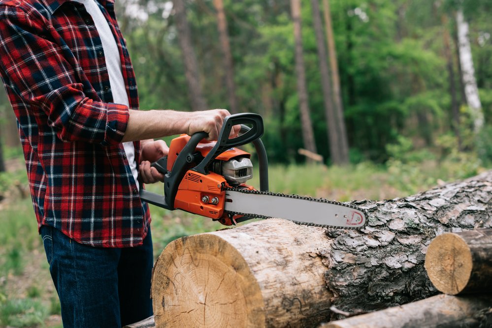 Best Chainsaws