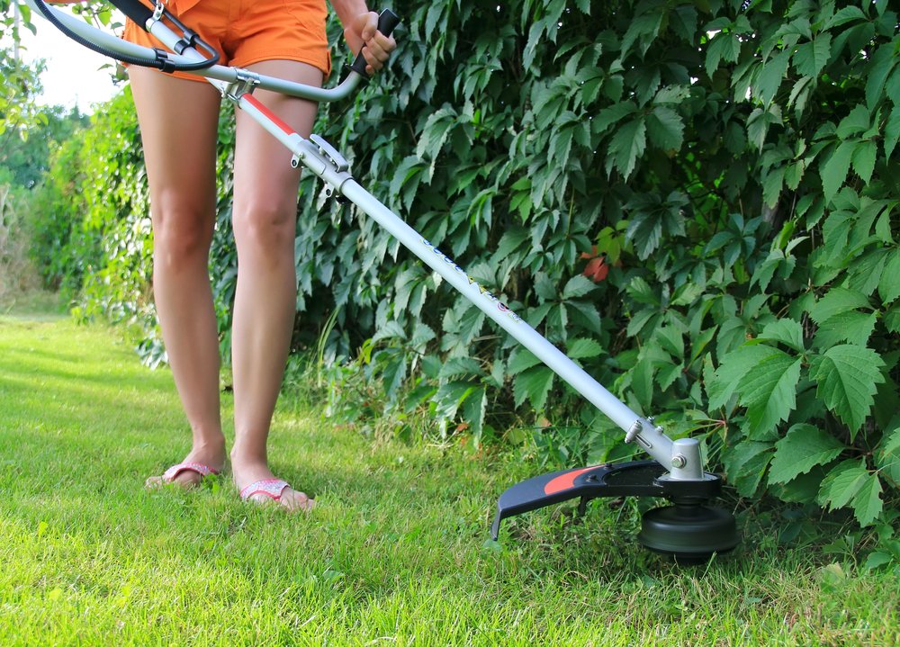Best Strimmers