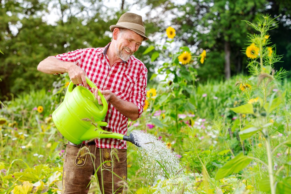 Best Watering Cans