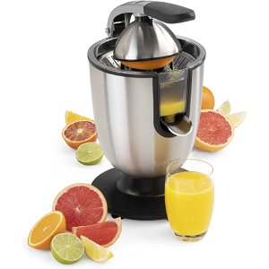 Princess Citrus Champion