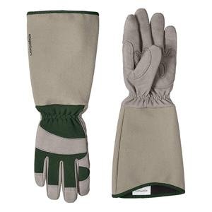 Amazon Basics Rose Pruning