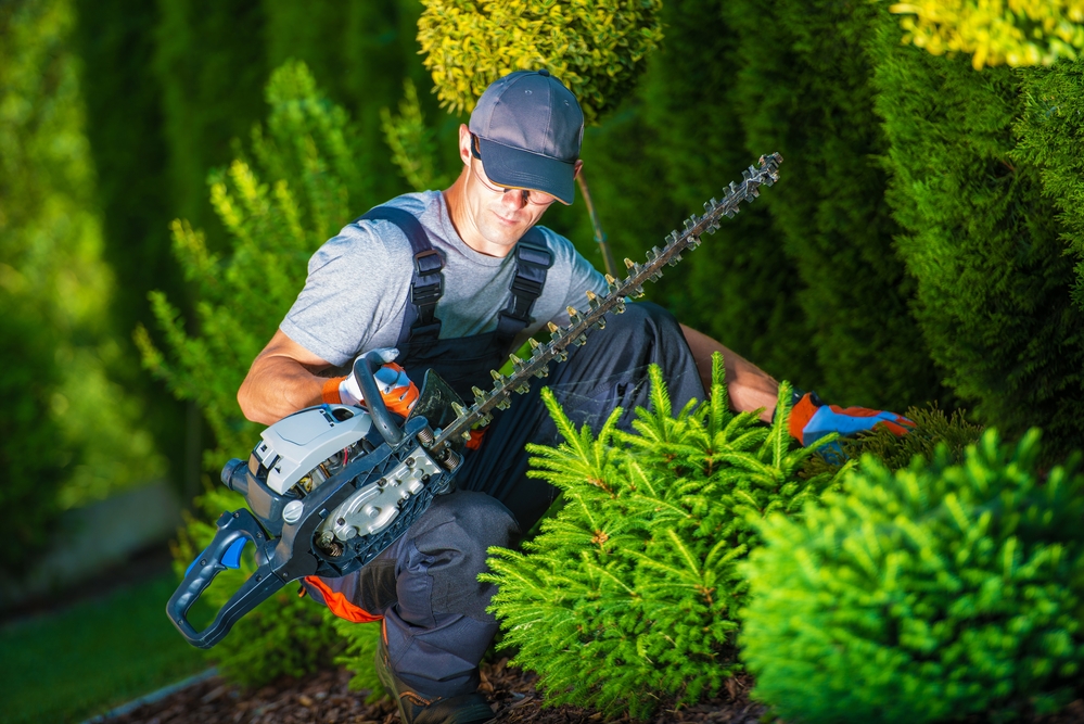 Best Hedge Trimmers