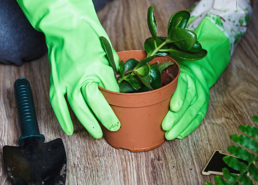 best gardening gloves