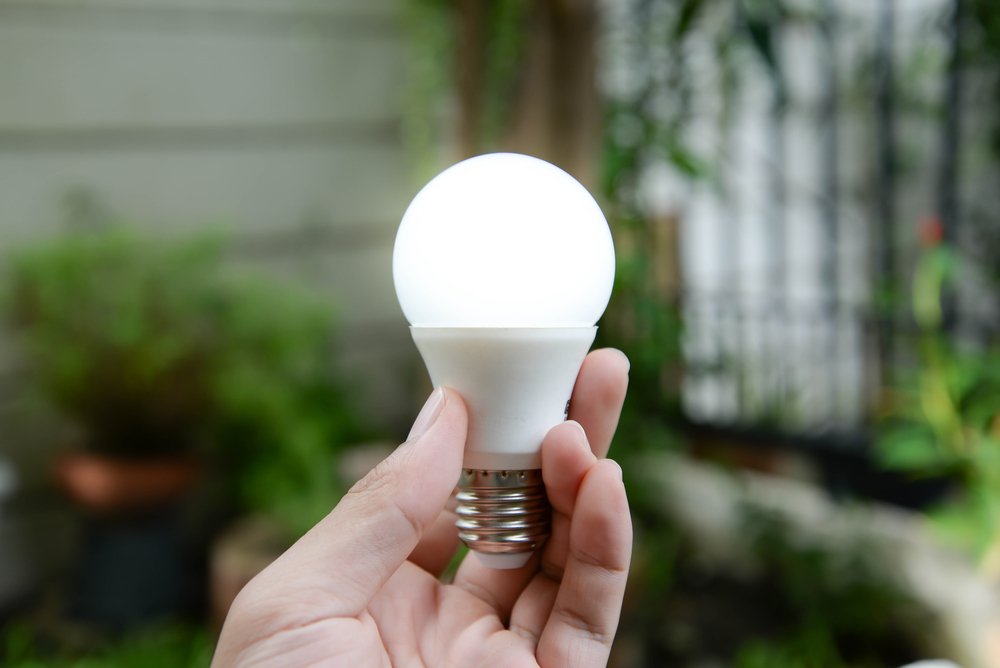 Best Light Bulbs