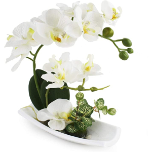 RENATUHOM White Orchid