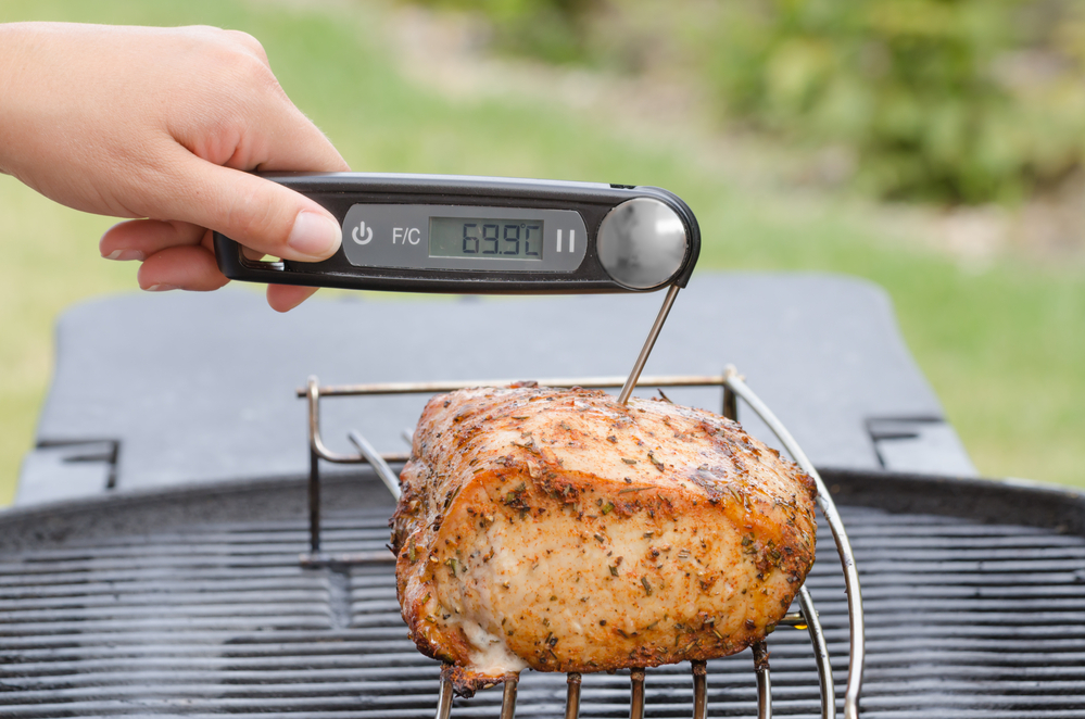 best meat thermometers