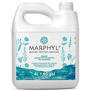 MARPHYL Organic